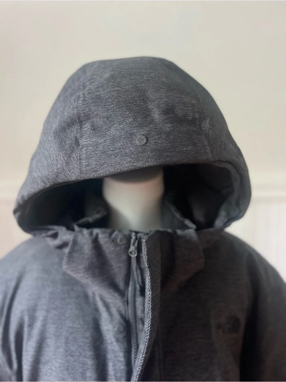 Men’s The North Face Gore-Tex 550 Down Filled Gray/black Parka Jacket Size XXL
